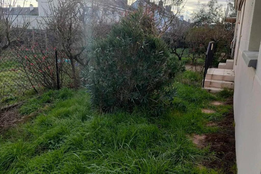 Appartement Cosy 2 Chambres Avec Jardin Les Ponts-de-Cé Εξωτερικό φωτογραφία